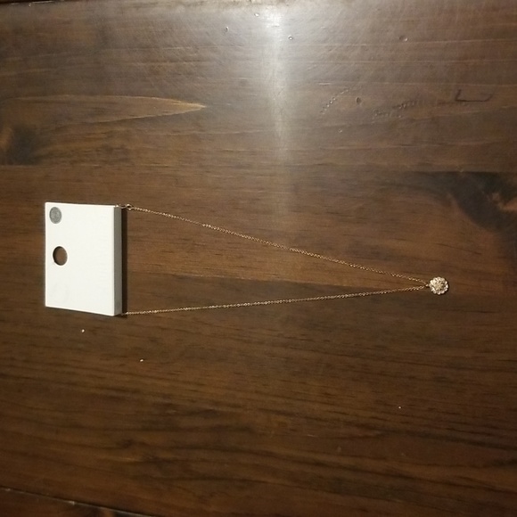 Forever 21 Dainty Necklace - Picture 1 of 5